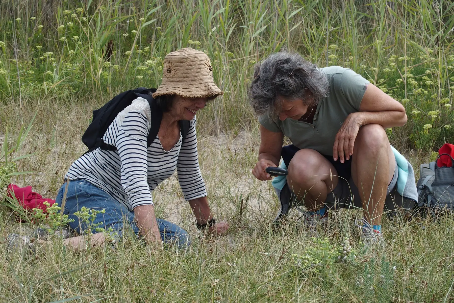 Saute-Ruisseaux_Balade