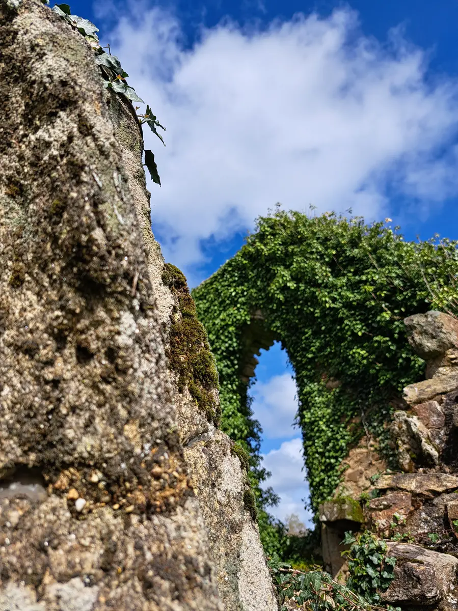 Site_des_Alliers_Béganne_2024-OTPR (19)