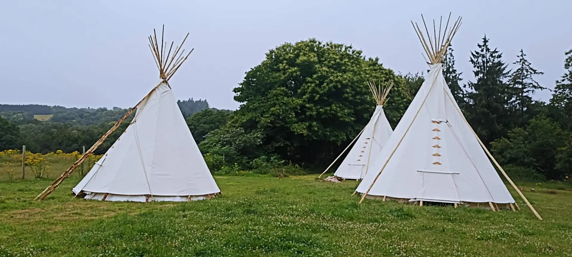 Tipi