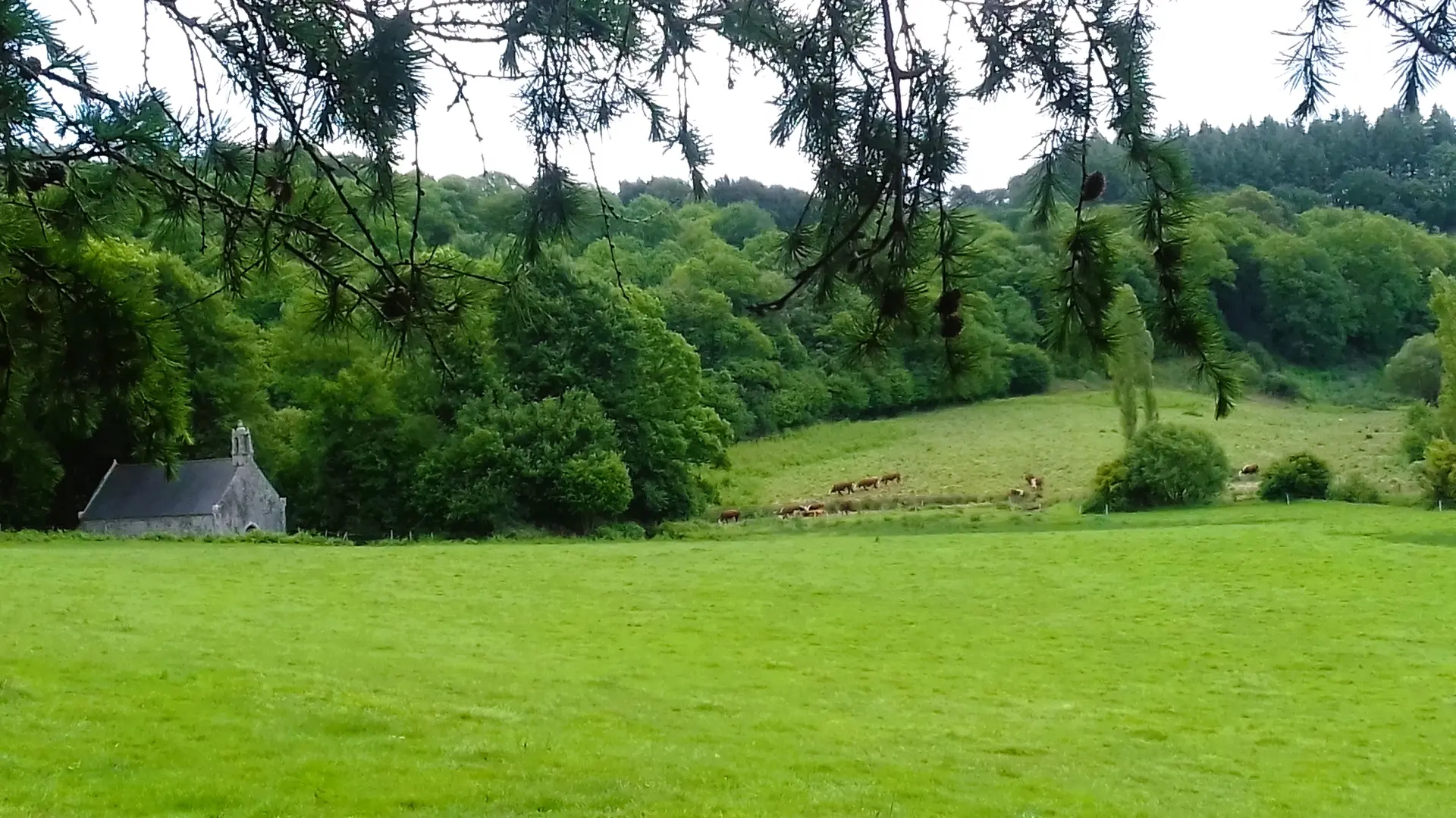 Vallee_St_Tremeur_LeSaint©OTPRM