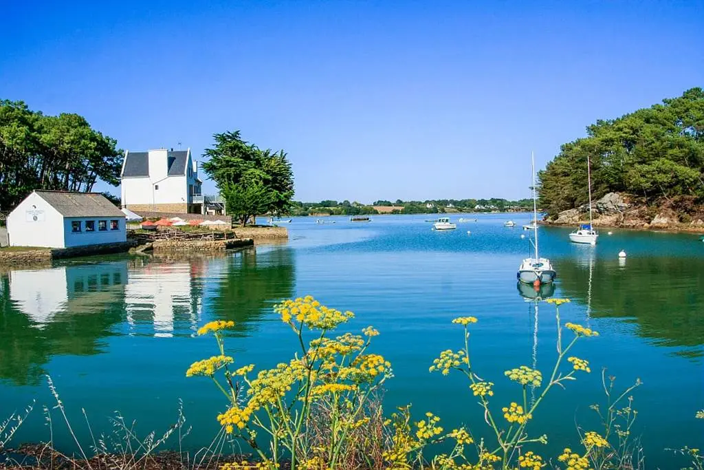 Ets-Gouguec-Producteur-Larmor Baden-Golfe-du-Morbihan-Bretagne sud-01