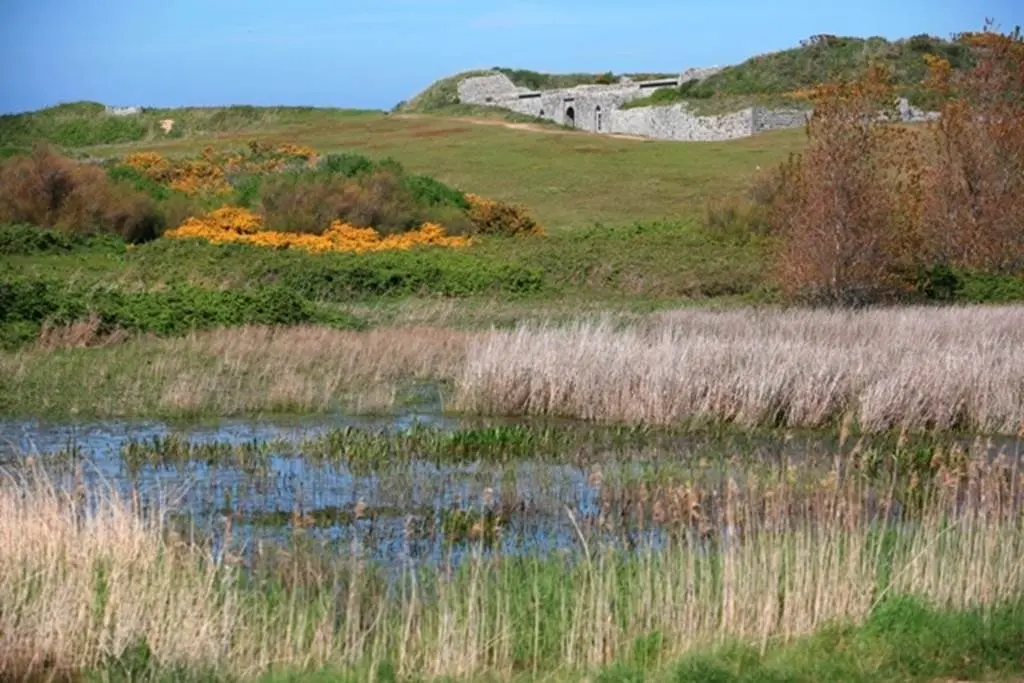 Le vieux Fort et le marais - Ile d'Hoëdic - Morbihan Bretagne Sud