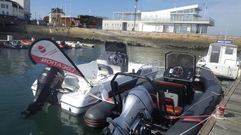 Albatros Evasion