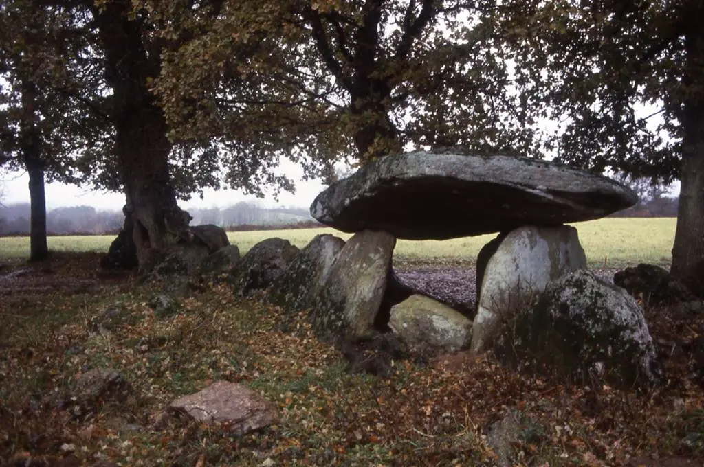 allée couverte de Kerjagu morbihan bretagne sud