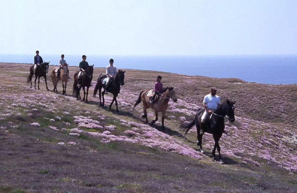 LSPBRE0560000380_1