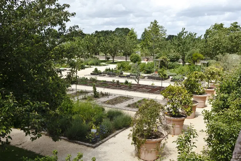 jardin botanique la gacilly-morbihan-bretagne-sud.jpg