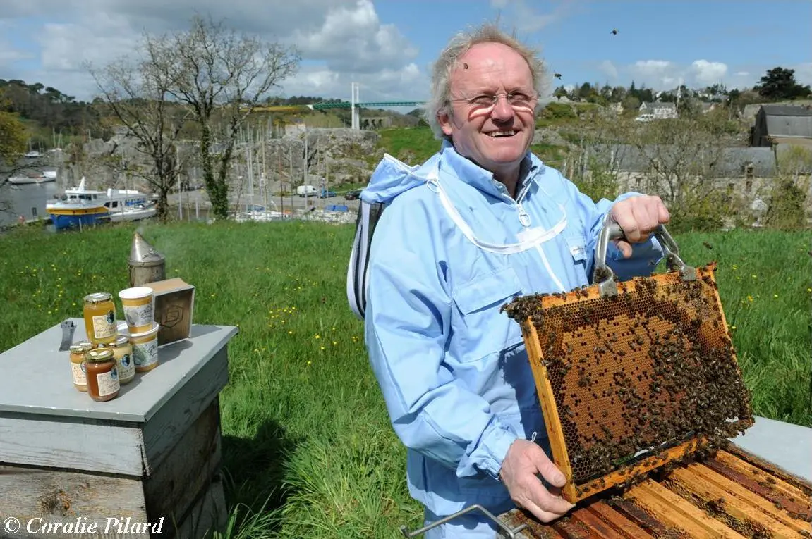 Remy Lucas-Maison de l'abeille-La Roche-Bernard