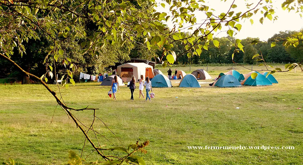 Camping du Ménéhy - St Vincent sur Oust