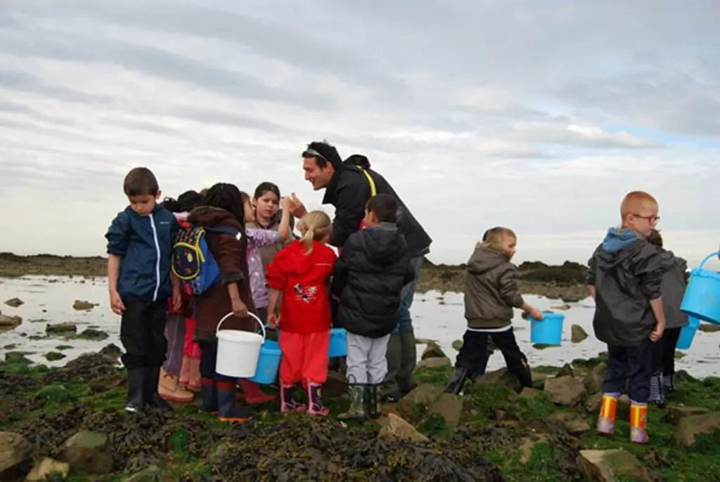 Jeux-Pêche-tes-Contes-Surzur-Golfe-du-Morbihan-Bretagne sud