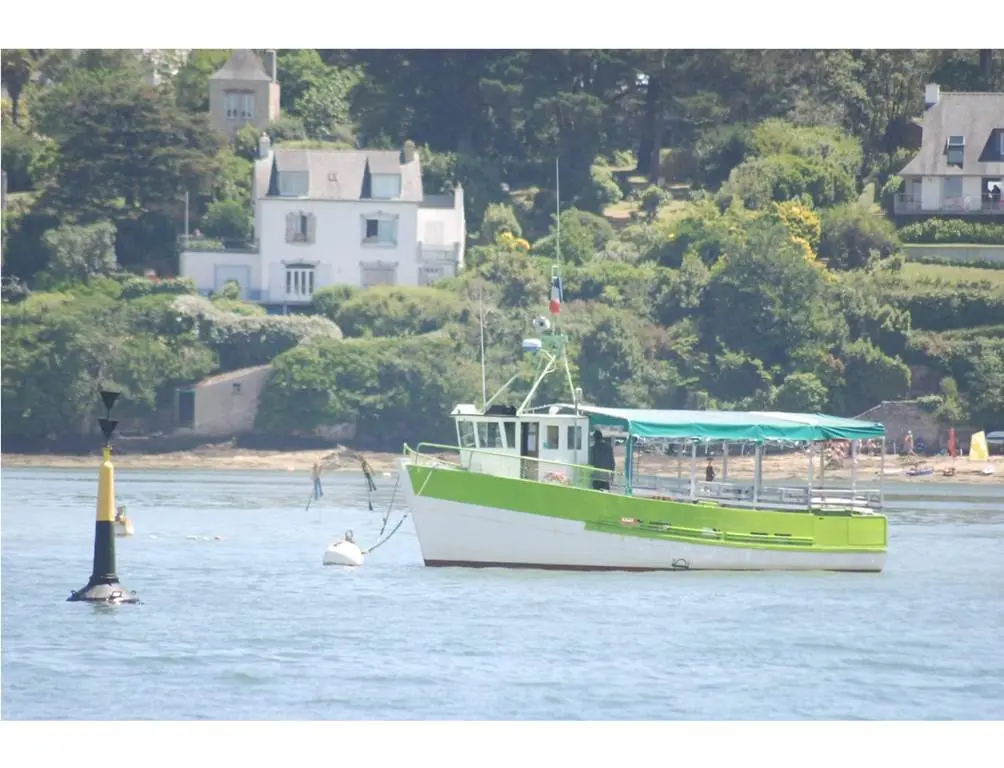 Le-Petit-Baigneur-Vannes-Golfe-du-Morbihan-Bretagne sud
