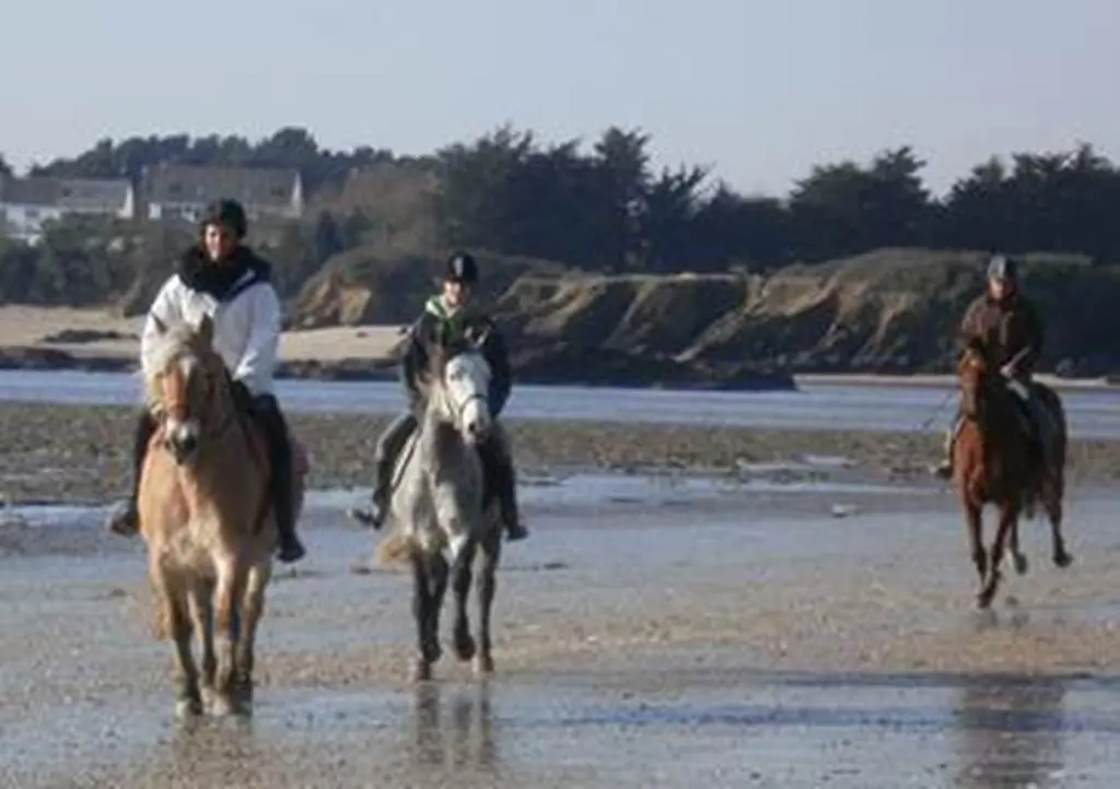 Photo plage - Haras du Cosquer