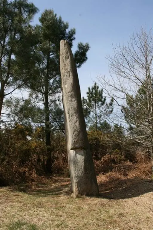 menhir de gargantua plaudren morbihan bretagne-sud