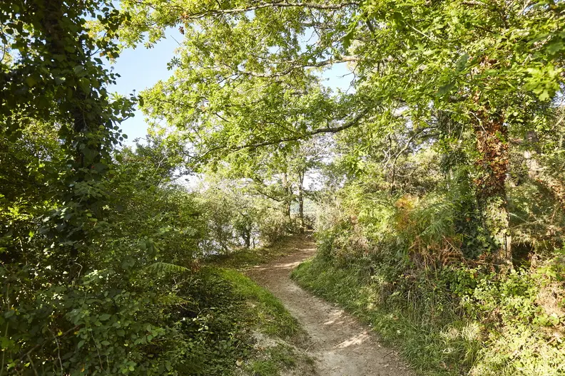 sentier-sainte-avoye-pluneret_792x528