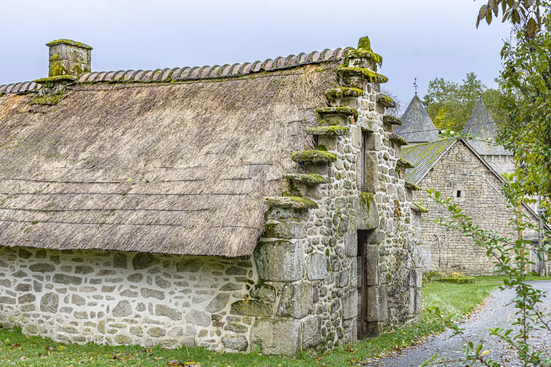 DSC_5665©OT Tulle en Corrèze-2