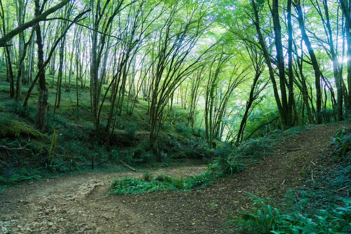 OT Vallée Vézère 2