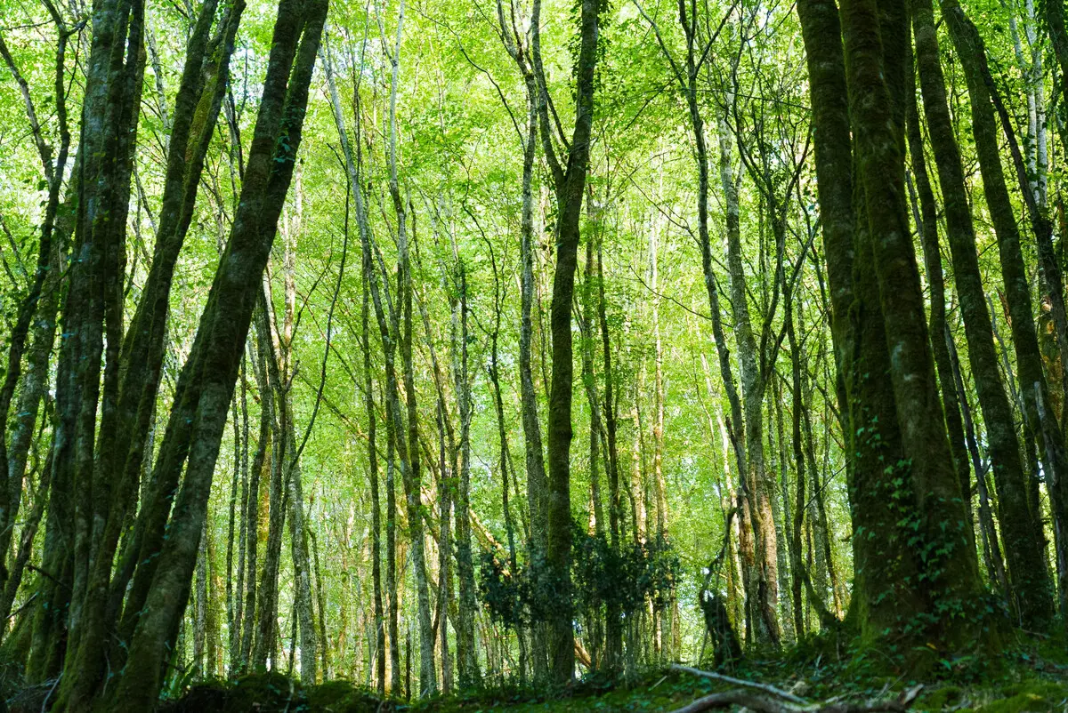 OT Vallée Vézère 2