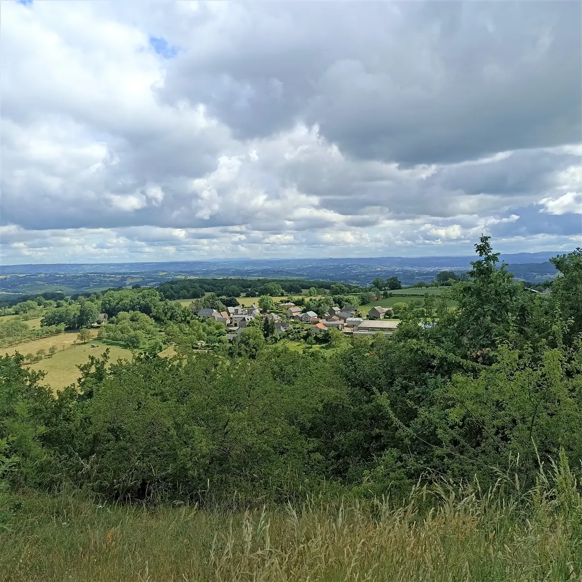 Point de vue