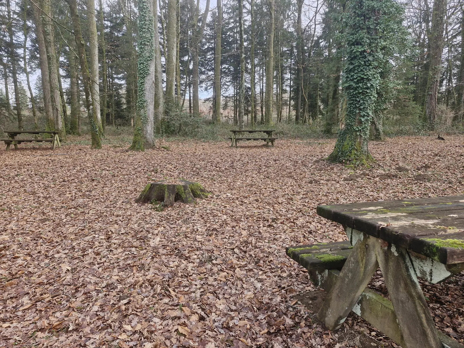 Tables de Pique Nique étang du merle - Saint-Sornin-Lavolps © JL OT TDC