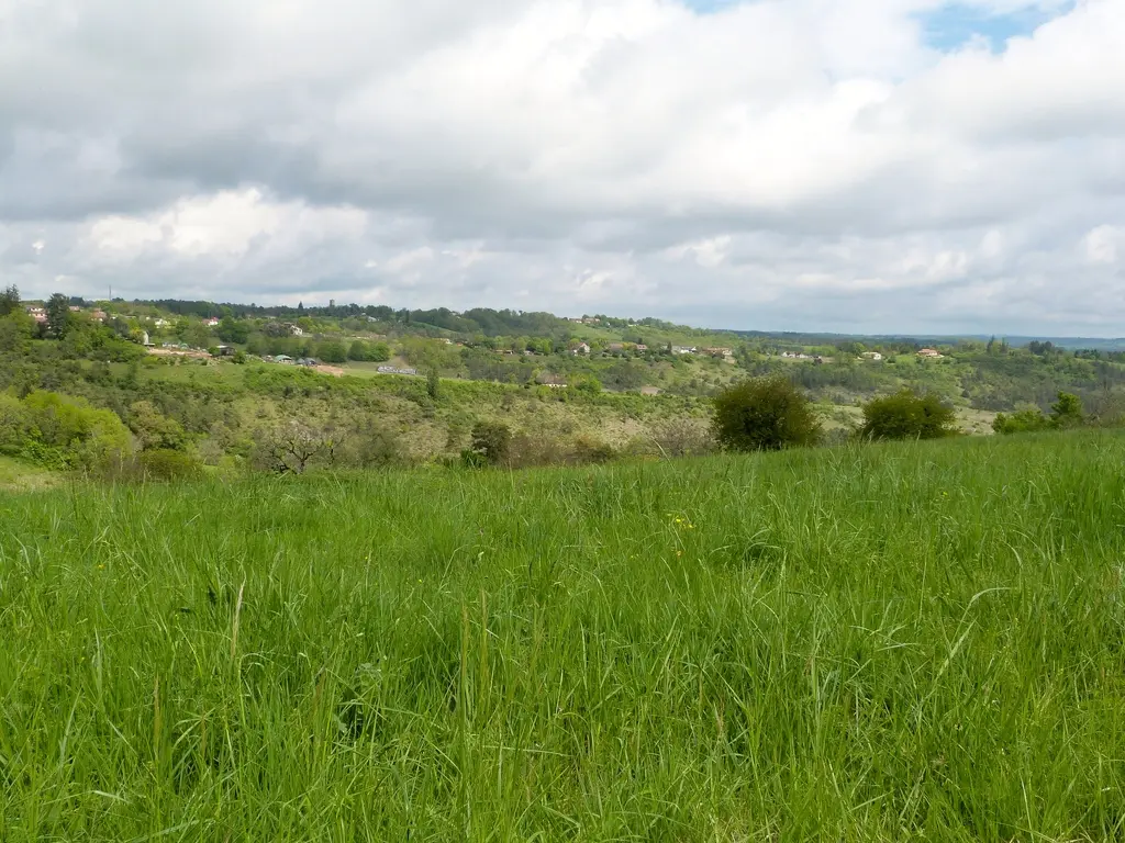 pt de vue 2