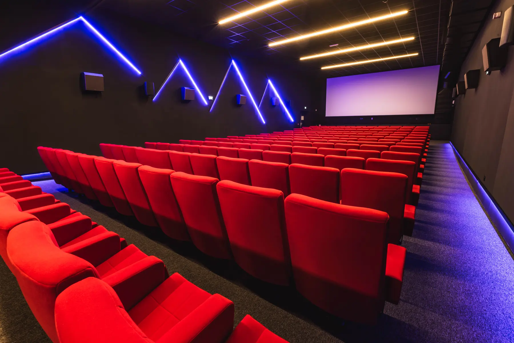 ©nbirrien cinema lumiere (73)