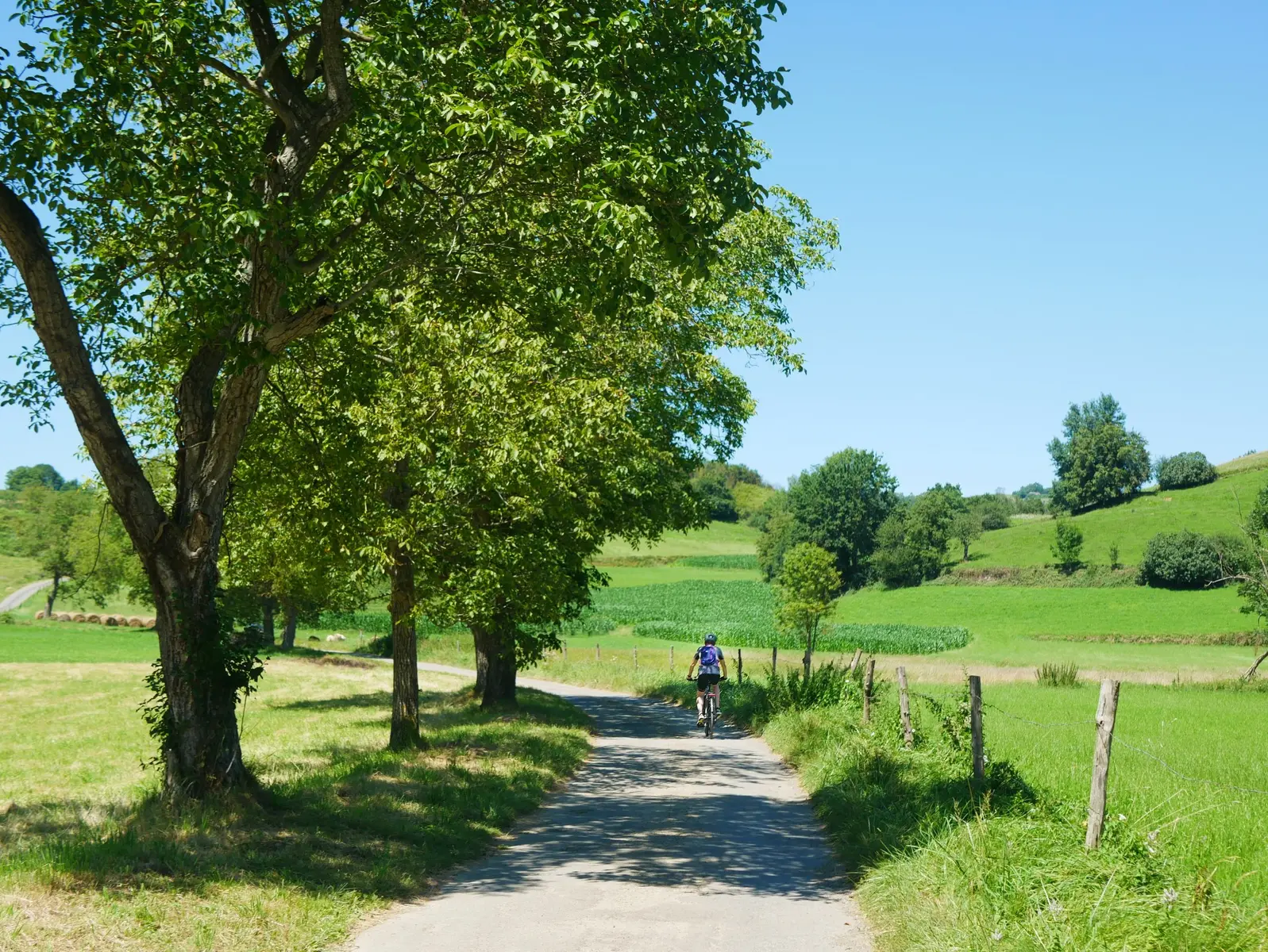 Castelloubon vélo nature personnage 5 ©OTLourdes_août2023