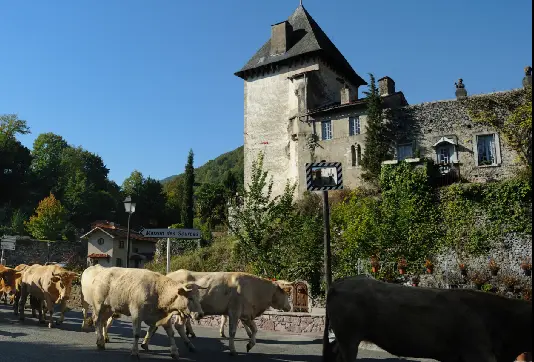Chateau