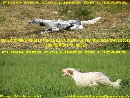 Des collines de l'Izars