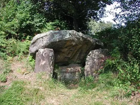 Dolmen Peyre-Dusets Poueyferré