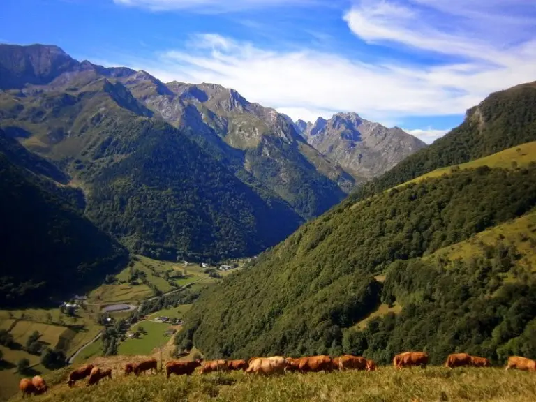 Ferme du Lac d'Estaing web