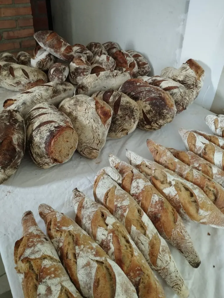 Fournil Lapin Noir