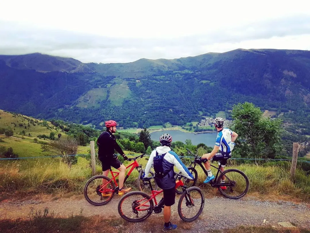 VTT