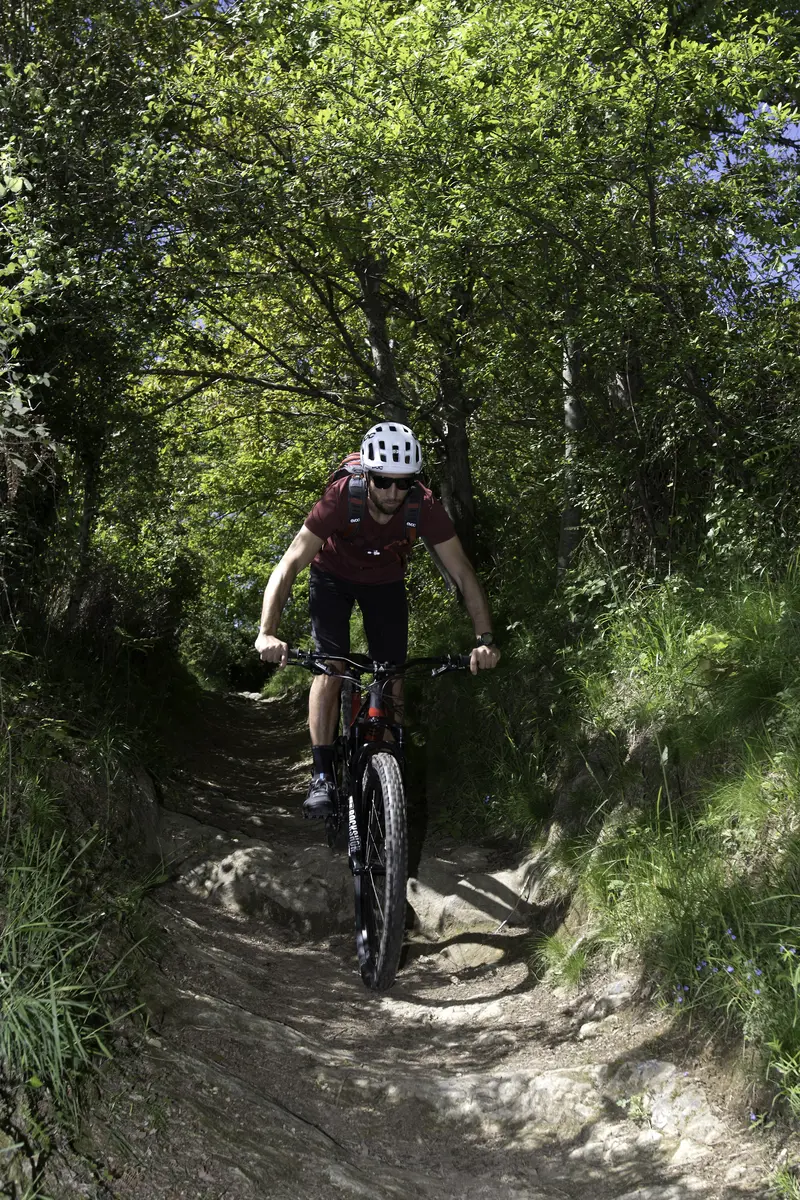 LOURDES-N°10-HENRIIV