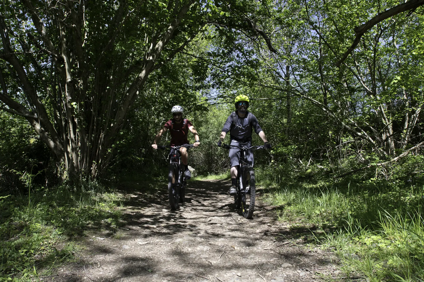 LOURDES-N°13-BATSURGUERE