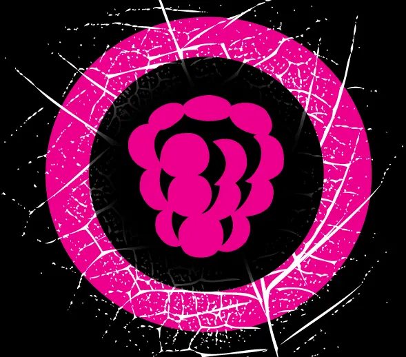 Logo de Secret Pyrenees