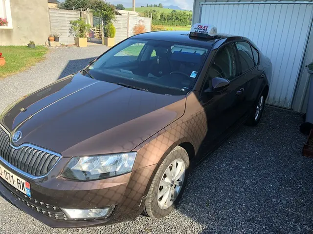 M6511MIP065V500ABL-Allo-Taxi-mimi