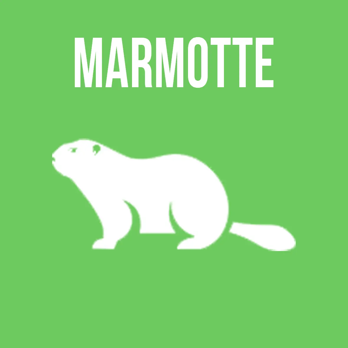 Marmotte neutre
