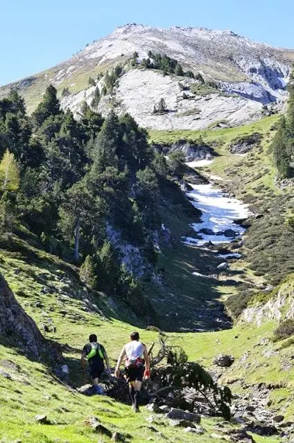 ODT_Patou_Trail_LD1