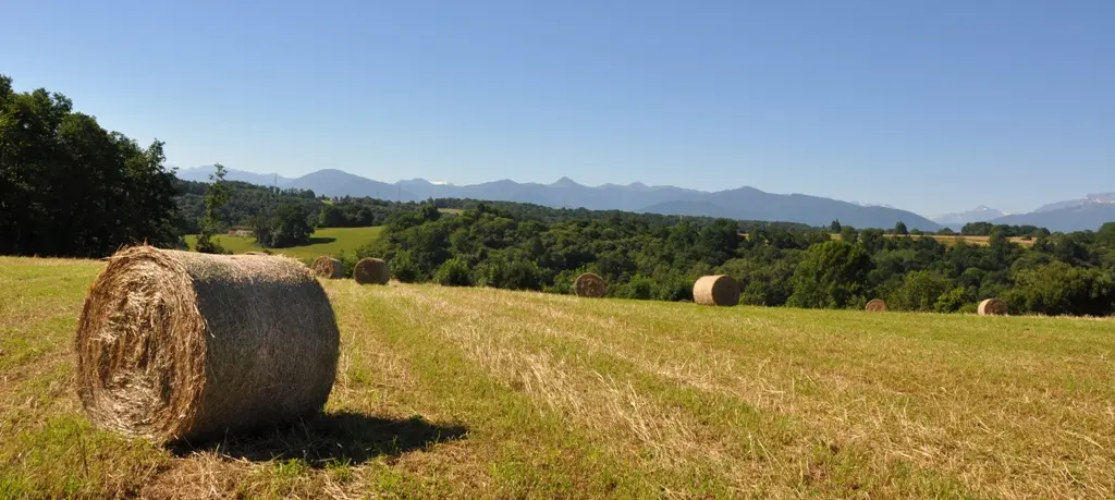 Paysage Baïses 9