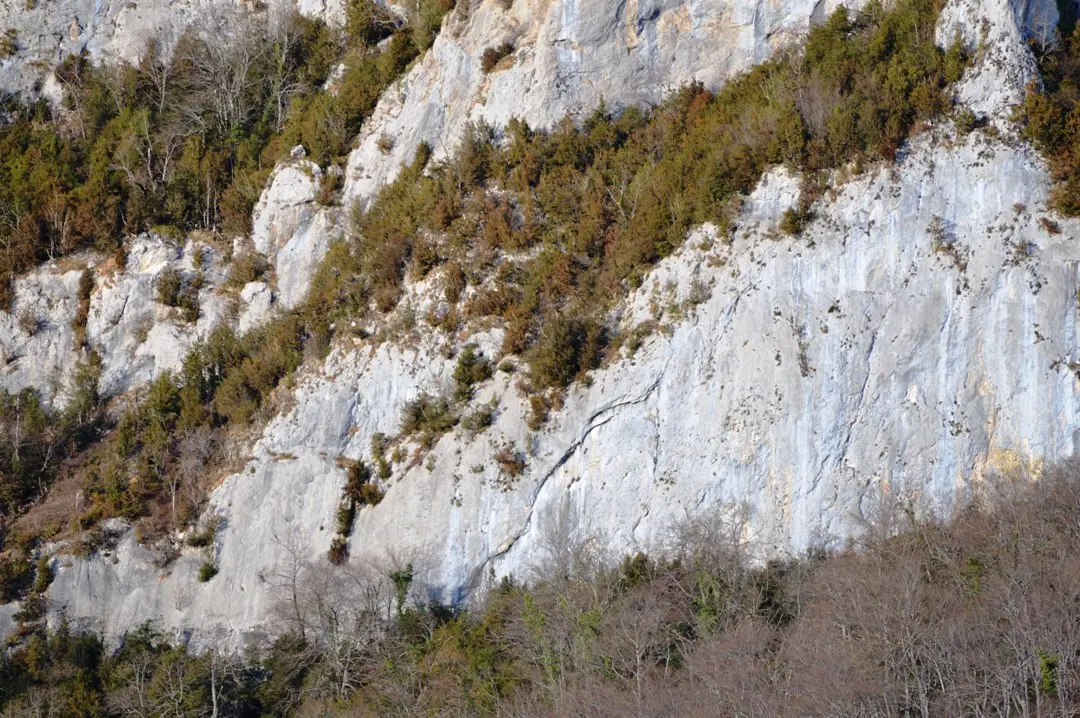 Pène Basse