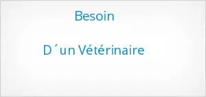 VETERINAIRE