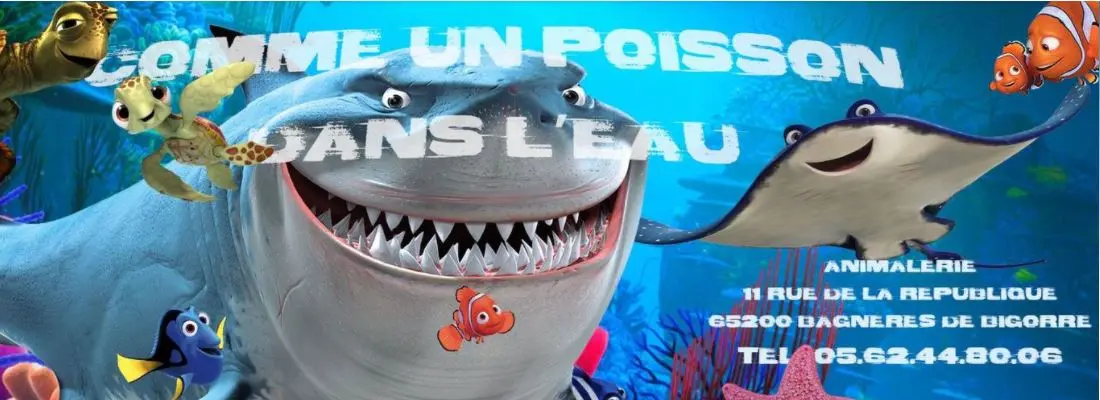 comme-un-poisson-dans-l-eau