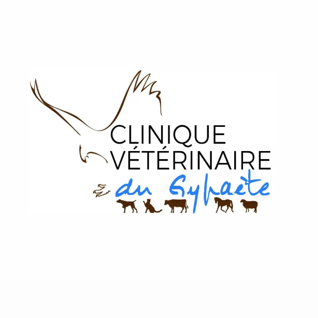 clinique gypaète