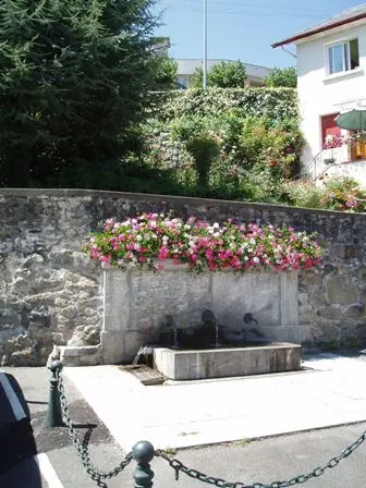 fontainedelapegulhe-argelesgazsot-Hautespyrenees.jpg