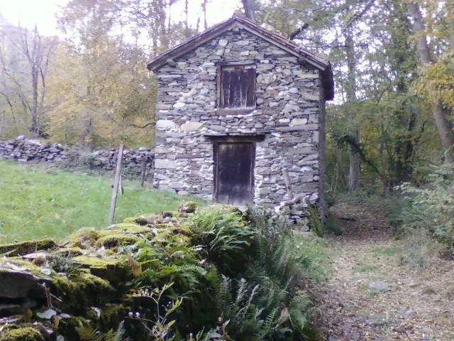 foret de mayroue (14)-1