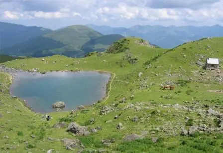 lac arou