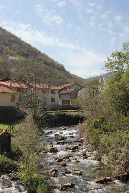 mauléon rouge