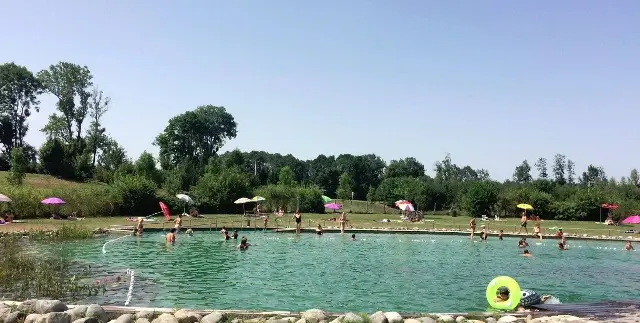 ocypiscine