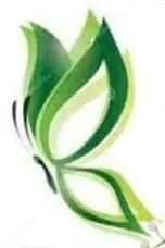 papillon vert