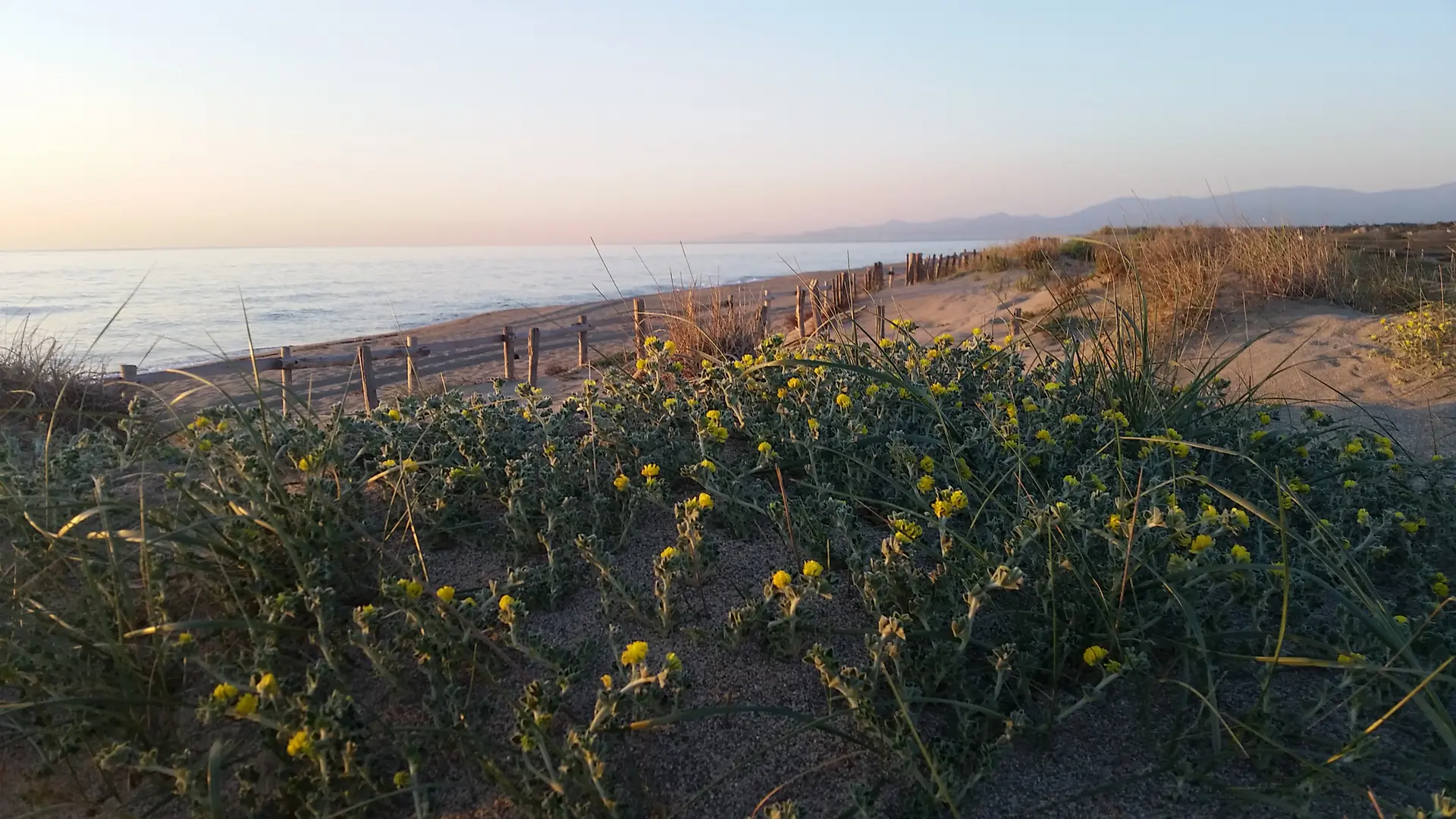 TORREILLES LOI PLAGE NORD