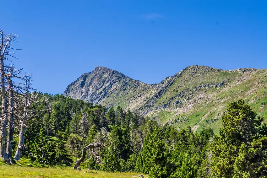 En arrivant au pied du Canigó_1